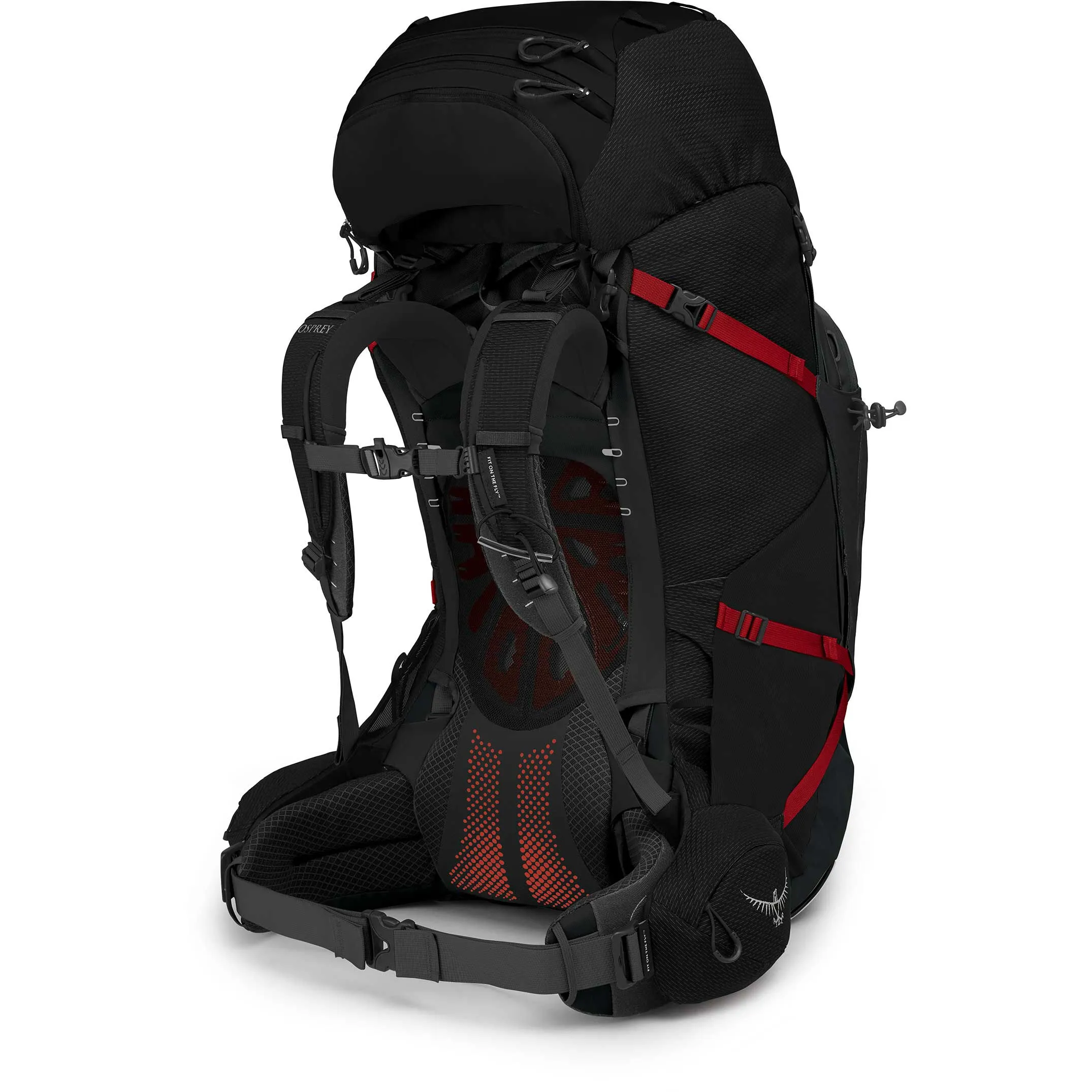 Osprey Aether Plus 85 4 Osprey Aether Plus 85 – Image 2